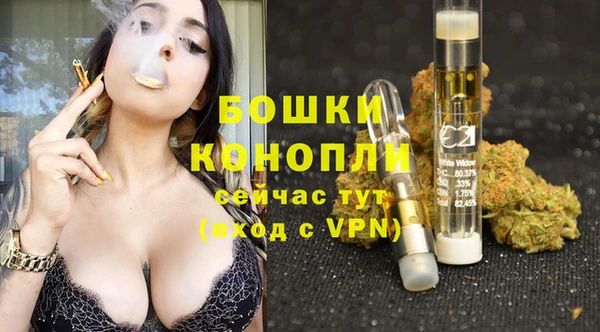бошки Арсеньев