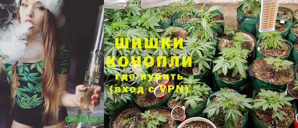 каннабис Аркадак