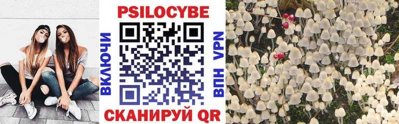 гидра как войти  Белая Холуница  Псилоцибиновые грибы Psilocybine cubensis 