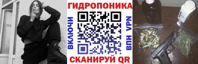 Бошки марихуана конопля  как найти закладки  Белая Холуница 